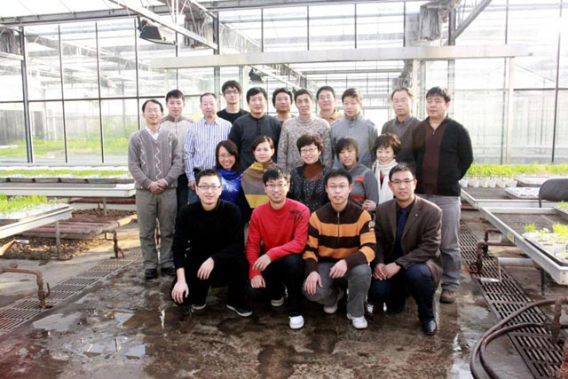 中化国际的“植物医生”团队
